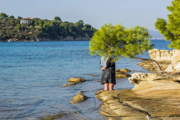 funny nature photography scene of Greece Mediterranean sea cozy lagoon waterfront coast line and incognito old woman stay back to camera behind the cedar tropic tree on rocky shoreline of small island