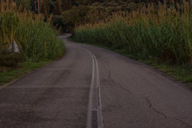 yumuşak odak yoksul eski boş araba yol kırsal açık çevre alacakaranlık akşam aydınlatma 