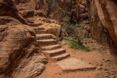 Kum taş merdiven ile Kanyon Doğa Çöl çevre yürüyüş için kaya dar yolu oyulmuş