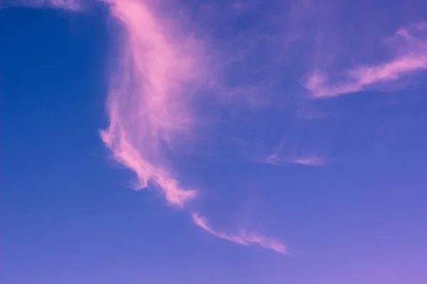 Pittoreske Avond Verzadigde Blauwe Lucht Zonsondergang Verlichting Met Roze Wolken — Stockfoto