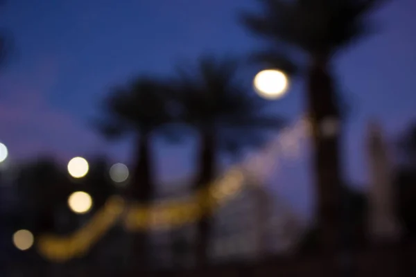 abstract unfocused night south city street silhouettes of palm trees alley way and yellow bokeh blurred glares from lanterns illumination