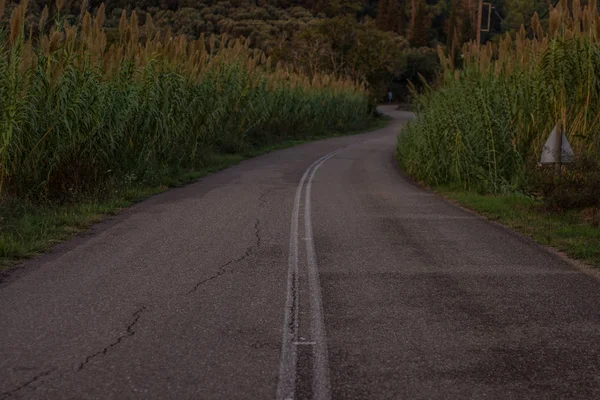 Soft Focus Pauvre Vieille Route Voiture Vide Dans Environnement Rural — Photo