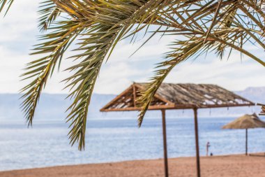 boş kum plaj Tropic Orta Doğu res deniz kıyısı hat kıyı şeridi palmiye dalları ön planda
