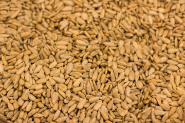 soyulmuş tohumtahıllar gıda dokulu arka plan ağırlık tarafından süpermarket tezgahında 