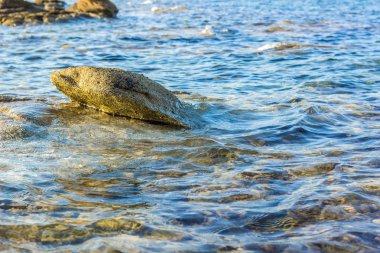 rıhtıma yakın yüzeyin üzerinde şeffaf mavi su ve taşlar ile parlak yerel manzara manzara