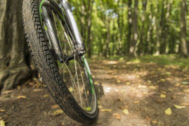 orman manzaralı dış mekan da bisiklet tekerlek lastik kompozisyon merkezi zemin izi üzerinde bulanık bulanık doğal arka plan ortamı, spor hareketi ve serbest zaman harcama kavramı duvar kağıdı resmi