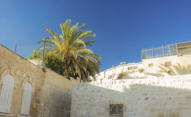 Parlak net hava zamanda palmiye ağacı ile Kudüs eski sokak