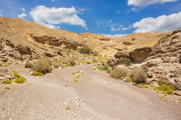 Deserto Canyon Stagione Secca Paesaggio Paesaggio Deserto Con Nessuno Niente — Foto Stock