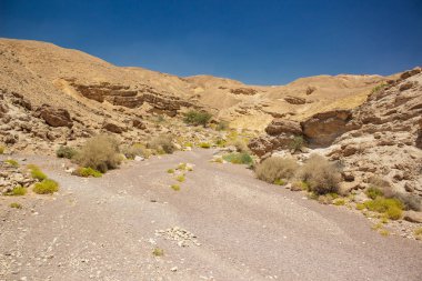İsrail'de kanyon ulusal turistik miras yeri yakınındaki kayalık tepeler arasında çöl manzaralı vahşi yol 
