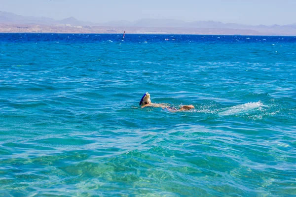 Natação Snorkeling Menina Volta Câmera Golfo Aqaba Mar Vermelho Baía — Fotografia de Stock