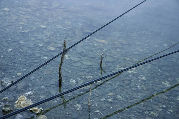 pürüzsüz sığ su yüzey yaşam tarzı ve hobi kavram resmi, kopya veya metin için arka plan boş alan üzerinde iki olta çubukları