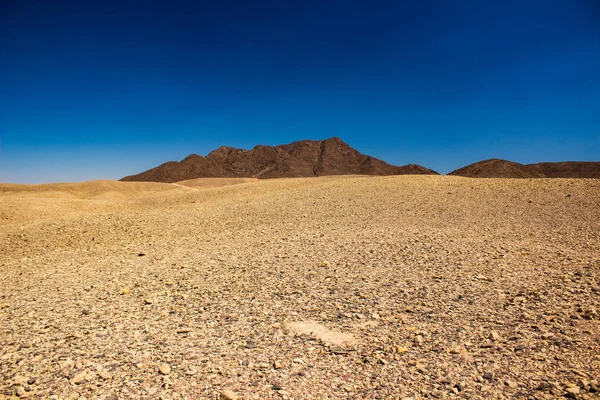 Desierto Páramo Paisaje Calentamiento Global Resultado Seco Suelo Muerto Horizonte — Foto de Stock