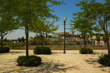 Jerusalem bahçe şehir sokak yeşil ağaçlar ve arka planda binalar ile yürüyüş sokak alanı 