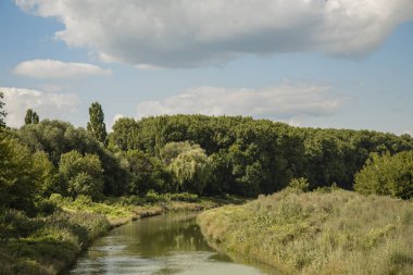 yeşil tepeler ve ağaçlarla çevrili küçük nehir dere sıradan Doğu Avrupa ülke vahşi doğal çevre 