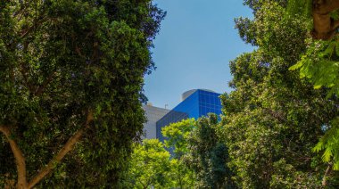 doğal yeşil ağaçlar yeşillik çerçeve cam gökdelen bina dış cephe fütüristik temiz ekoloji şehir dönüm noktası görünümü 