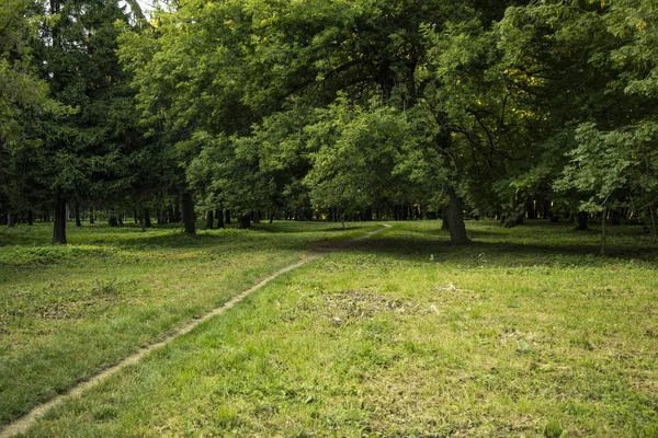 Közönséges Zöld Park Szabadtéri Természet Festői Kilátással Rét Keskeny Föld — Stock Fotó