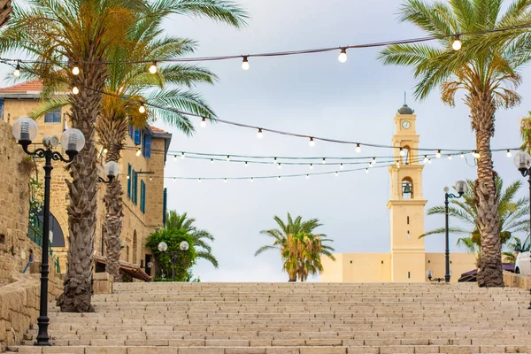 Jaffa İsrail antik kenti Unesco dünya mirası turistik hedef yürüyüş ve arka planda palmiye altında palmiye ve belediye binası kulesi arasında merdiven sokak yolu ile şehir manzarası
