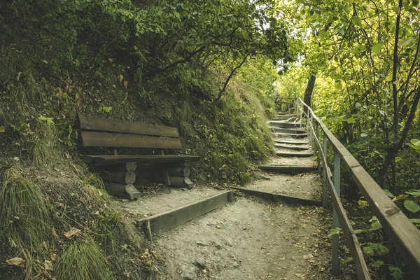 Bosque Paisaje Montaña Paisaje Naturaleza Ambiente Con Sendero Escaleras Banco — Foto de Stock