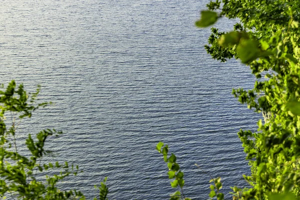 简单的自然风景景观拍拍摄影与绿叶框架和湖光滑的水面背景 复制空间 — 图库照片