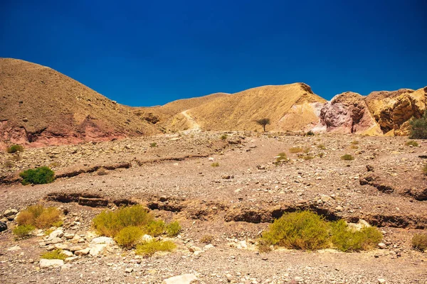 Atacama güney Amerika çöl manzara doğal vahşi çöl çorak görünümü kum taşı tepeleri ön plan ve çıplak kayalar ve dağlar arka plan ile