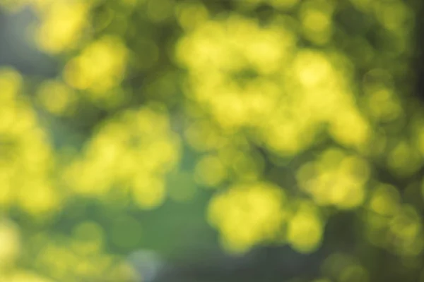Abstrato Bokeh Amarelo Verde Desfocado Folhagem Natureza Brilhante Fundo Luz — Fotografia de Stock