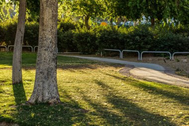 sabah güneşi doğacak park yeşil çim çayır doğal taze manzara ile küçük döşemeler yol yürüyüş ve gezinti yolu 