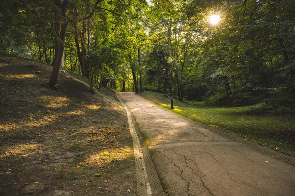 calm and peaceful morning park scenic landscape view with sun rise light through green foliage and lonely road for walking and promenade in silent natural environment