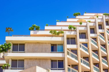 çatı balkon ve teraslarda yeşil ağaçlar ile ekoloji konsept bina modern otel dış cephe 