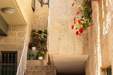 merdivenlerde çok renkli çiçek vazolar ile eski sokak konut bina küçük rahat avlu, dekorasyon dış 
