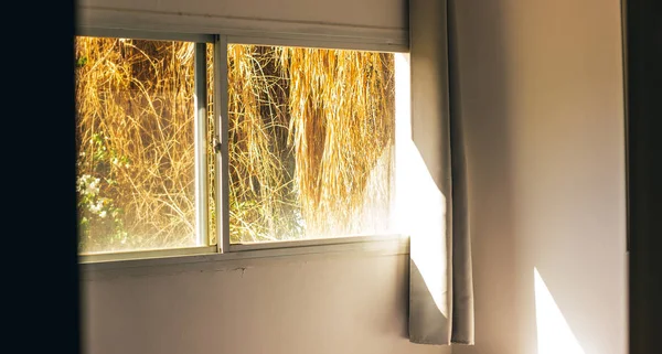 Ländliche Wohnmöbel Morgen Weiche Farbe Sonne Aufstieg Gelbes Licht Durch — Stockfoto