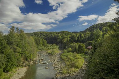 canlı mavi gökyüzü beyaz bulutlar ile yaz hava zamanda yeşil yeşillik orman kenarında dağ dere ve ahşap ev ile yayla manzara manzara görünümü 