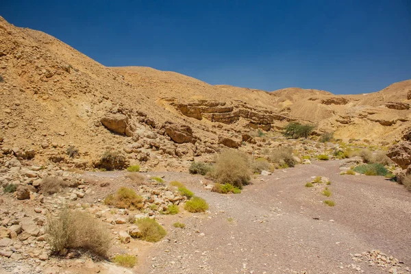 Gobi Asiatico Deserto Sabbia Pietra Rifiuti Terra Paesaggio Paesaggio — Foto Stock