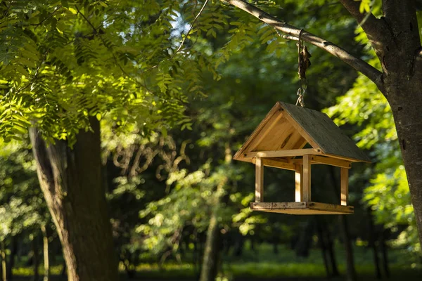 animal care hand made bird feeder wooden object hanging on a tree branch in park outdoor scenic natural environment