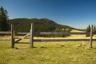 orman tepe ve mavi gökyüzü doğal arka plan görünümünde küçük kapı ile yayla dağ Avrupa tarım bahçesinde ahşap çit kırsal duvar kağıdı fotoğraf 