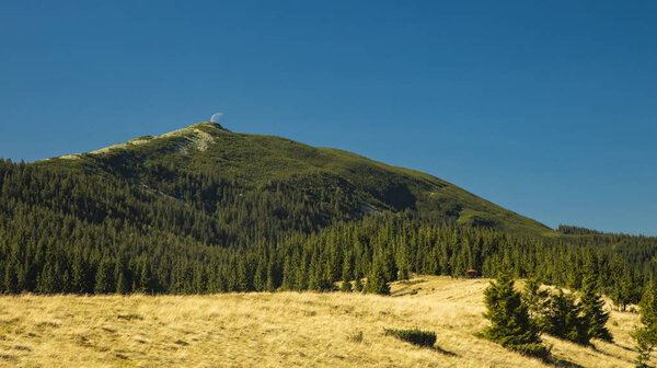пейзаж горных лесов в яркое дневное время с пустым ярким голубым небом и луной над вершиной
 