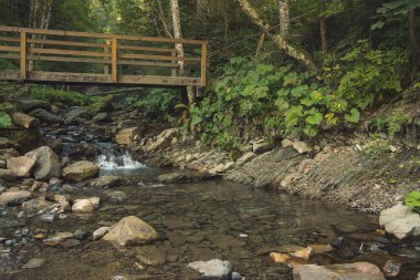 yayla kayalık su akışı ve ahşap köprü ile bahar renkli dağ ormanı manzara manzara görünümü