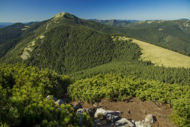 mavi gökyüzü arka plan üzerinde iğne bitkileri ön planda ve güzel zirve arasında kayalık taş izi ile muhteşem canlı renkli dağ ormanı yeşil manzara manzara manzara 
