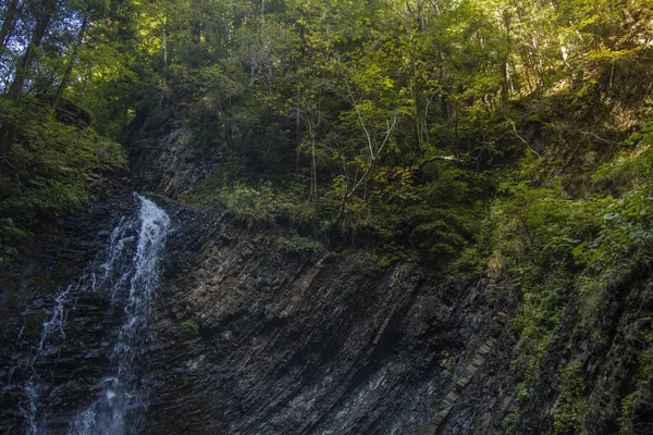 Высокогорные Красочные Скалистые Горные Леса Великолепный Пейзаж Голубым Водопадом Ручья — стоковое фото