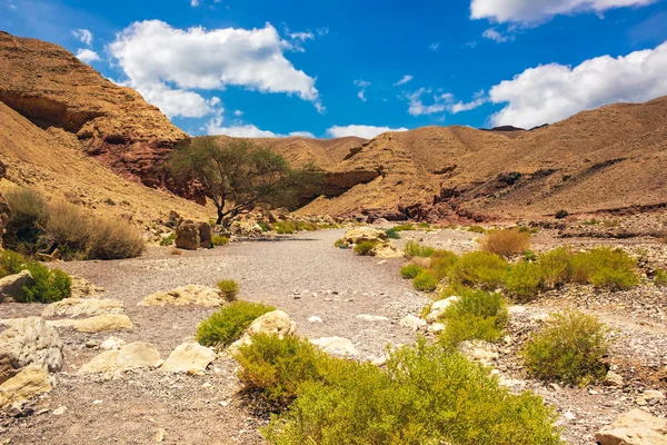 Deserto Canyon Paesaggio Caldo Ambiente Naturale Con Sabbia Pietra Altopiano — Foto Stock