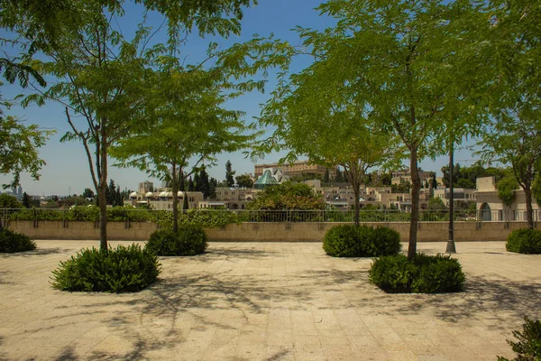 Jeruzalem Heilige Land Park Outdoor Schilderachtig Uitzicht Natuur Omgeving — Stockfoto