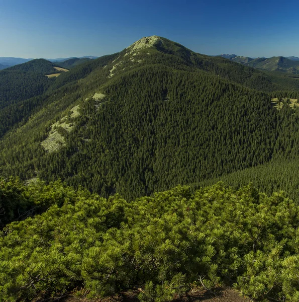 Cartel Fotografía Formato Cuadrado Paisaje Verde Bosque Montaña Paisaje Vista —  Fotos de Stock