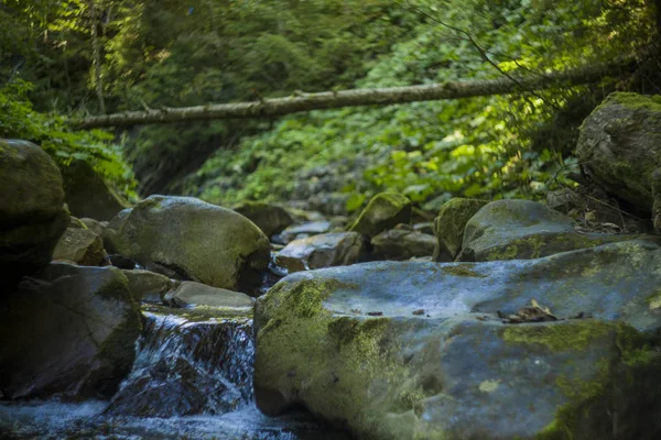 Artistico Sfocato Paesaggio Foresta Montagna Fotografia Paesaggio Acqua Blu Piccolo — Foto Stock