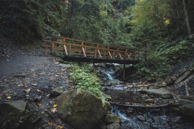 Islak, karamsar dağlık dağ ormanı atmosfer manzarası kayalık dere boyunca ahşap köprüsü olan 