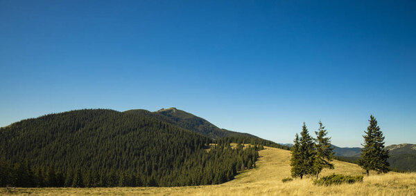 панорамный пейзаж пейзаж горный горный лес вид голубое небо пустое пространство для копирования текста
 