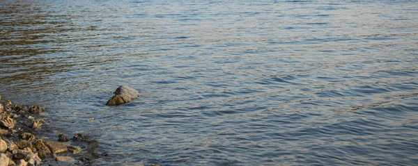 挪威北欧高山湖略带波浪状的水面 靠近风景如画的石质海滨线 宁静而忧郁的自然景观背景 — 图库照片