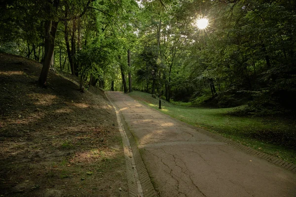 Huzurlu Bir Sabah Güneşi Parkı Beton Yol Yürümek Gezinmek Için — Stok fotoğraf