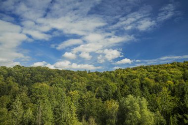 yatay doğa manzarası duvar kağıdı desen görünümü üst yeşil ağaçlar yeşillik ve canlı mavi gökyüzü beyaz bulutlar metin veya yazıtlar için arkaplan alanı 