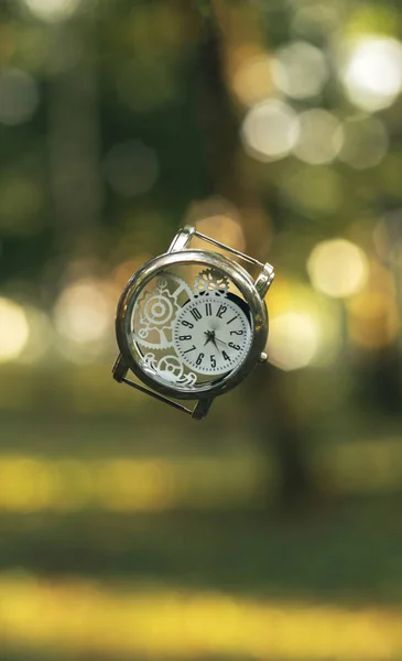vertical format inspiring graphic design picture of vintage hand clock in the air on golden fairy tale forest unfocused bokeh natural background environment