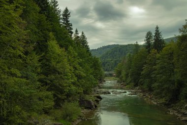 Spruce Highland dağ ormanları dramatik manzara nehir akıntısı bulutlu sonbahar mevsiminde 