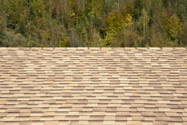 Voorstedelijk Huis Shingle Dak Achtergrond Textuur Perspectief Oppervlak Horizon Bord — Stockfoto